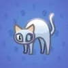 Scared Cat #10498