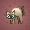 Scared Cat #10558