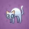 Scared Cat #10560