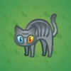 Scared Cat #10640