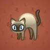 Scared Cat #10664