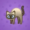 Scared Cat #10725