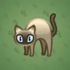 Scared Cat #10781