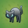 Scared Cat #11204