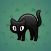 Scared Cat #11219