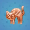 Scared Cat #11227