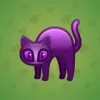 Scared Cat #11242