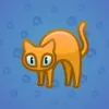 Scared Cat #11290