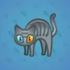 Scared Cat #11422