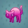 Scared Cat #11612