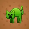 Scared Cat #11619
