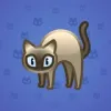 Scared Cat #11625