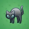 Scared Cat #11626