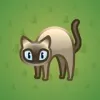Scared Cat #11746