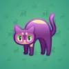 Scared Cat #11803