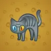 Scared Cat #11856
