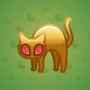 Scared Cat #11891