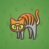 Scared Cat #11894
