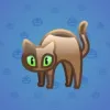 Scared Cat #11944