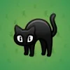 Scared Cat #12073