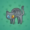 Scared Cat #12257