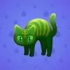 Scared Cat #12271