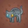 Scared Cat #12364
