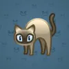 Scared Cat #12432