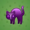 Scared Cat #12479