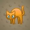 Scared Cat #12523