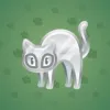 Scared Cat #12556