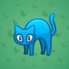 Scared Cat #12565