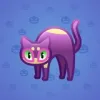 Scared Cat #12570
