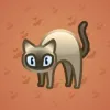Scared Cat #127