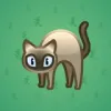 Scared Cat #12772