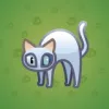 Scared Cat #12835
