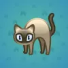 Scared Cat #12883