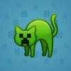 Scared Cat #13345