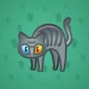 Scared Cat #13365