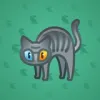 Scared Cat #13383