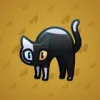 Scared Cat #13482