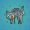 Scared Cat #13761