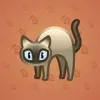 Scared Cat #13899