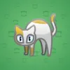 Scared Cat #14113