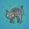 Scared Cat #14128