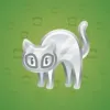 Scared Cat #14299