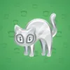 Scared Cat #14349