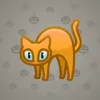 Scared Cat #14355