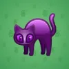 Scared Cat #14365