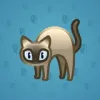 Scared Cat #14446